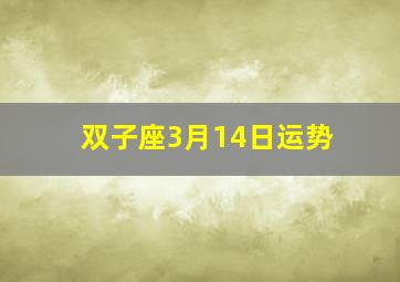 双子座3月14日运势