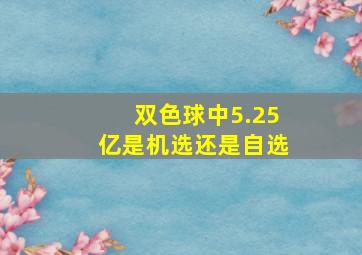 双色球中5.25亿是机选还是自选