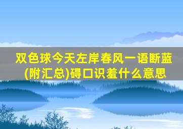 双色球今天左岸春风一语断蓝(附汇总)碍口识羞什么意思