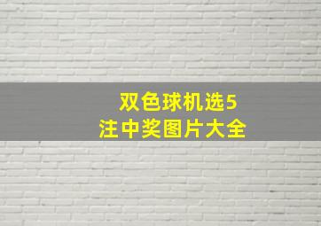 双色球机选5注中奖图片大全