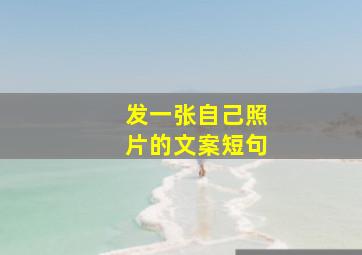 发一张自己照片的文案短句