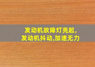 发动机故障灯亮起,发动机抖动,加速无力