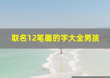 取名12笔画的字大全男孩