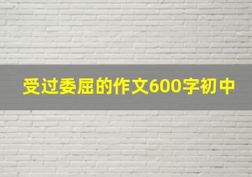 受过委屈的作文600字初中