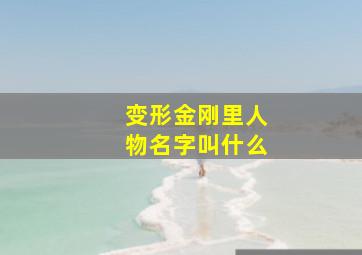 变形金刚里人物名字叫什么