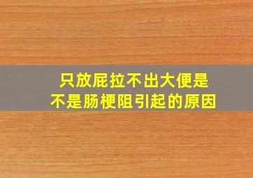 只放屁拉不出大便是不是肠梗阻引起的原因