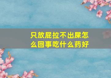 只放屁拉不出屎怎么回事吃什么药好