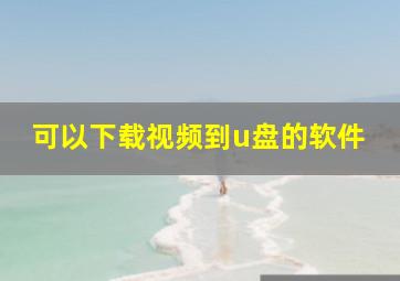 可以下载视频到u盘的软件