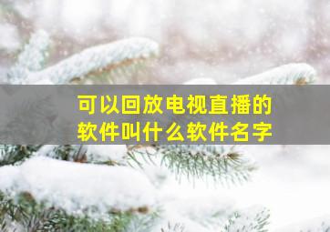 可以回放电视直播的软件叫什么软件名字