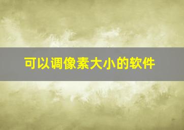 可以调像素大小的软件