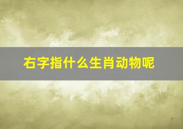 右字指什么生肖动物呢