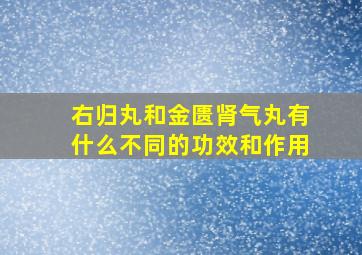 右归丸和金匮肾气丸有什么不同的功效和作用