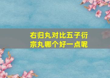 右归丸对比五子衍宗丸哪个好一点呢