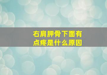 右肩胛骨下面有点疼是什么原因