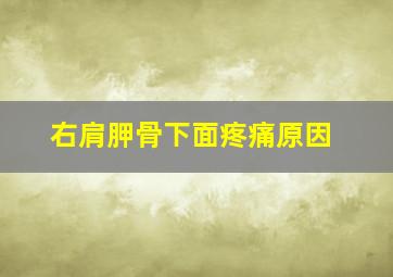 右肩胛骨下面疼痛原因