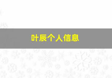 叶辰个人信息