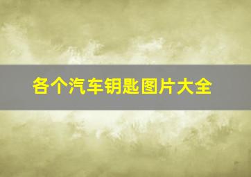 各个汽车钥匙图片大全