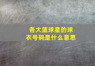 各大篮球星的球衣号码是什么意思