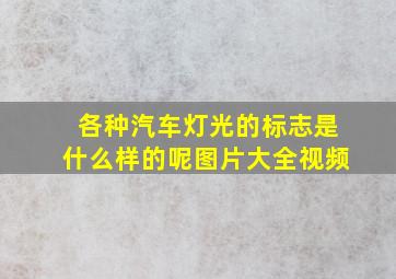 各种汽车灯光的标志是什么样的呢图片大全视频