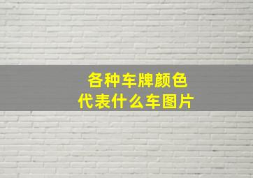 各种车牌颜色代表什么车图片