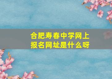 合肥寿春中学网上报名网址是什么呀