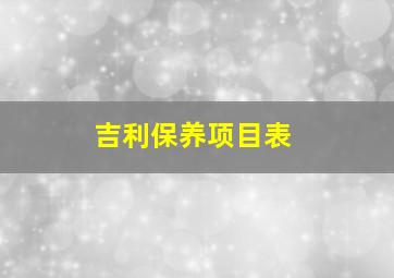 吉利保养项目表