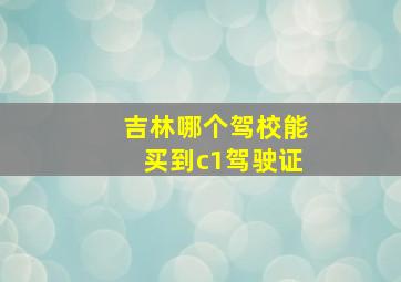 吉林哪个驾校能买到c1驾驶证