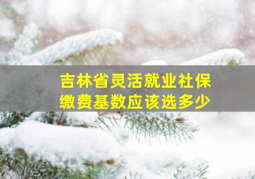 吉林省灵活就业社保缴费基数应该选多少