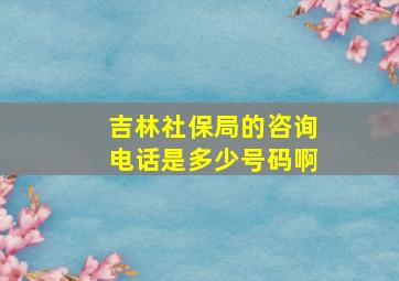 吉林社保局的咨询电话是多少号码啊