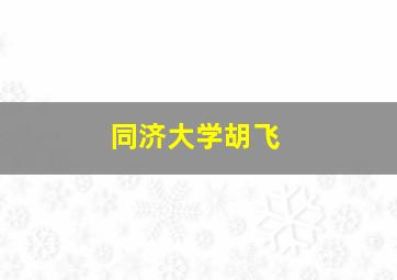 同济大学胡飞