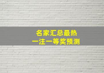 名家汇总最热一注一等奖预测