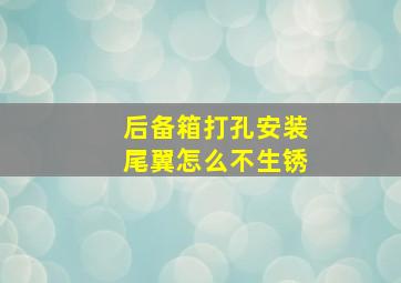 后备箱打孔安装尾翼怎么不生锈