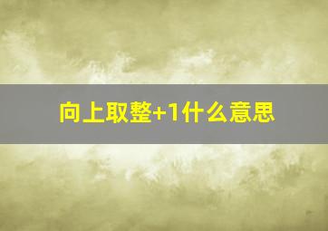 向上取整+1什么意思