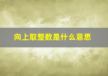 向上取整数是什么意思