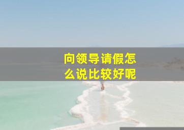 向领导请假怎么说比较好呢