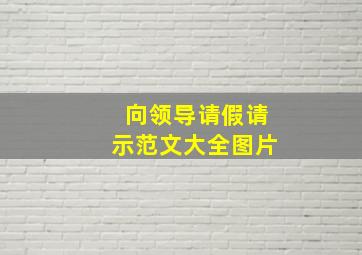 向领导请假请示范文大全图片