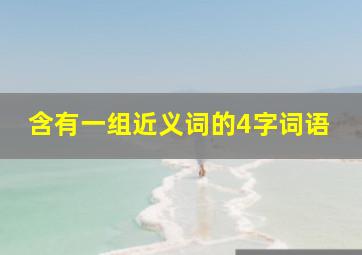 含有一组近义词的4字词语