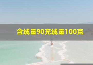 含绒量90充绒量100克