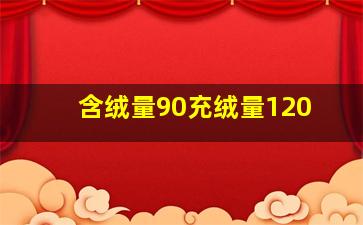 含绒量90充绒量120