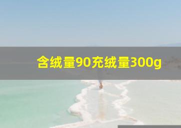 含绒量90充绒量300g