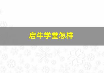 启牛学堂怎样