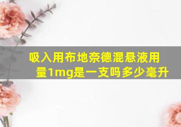 吸入用布地奈德混悬液用量1mg是一支吗多少毫升