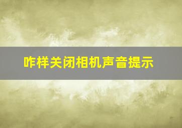 咋样关闭相机声音提示