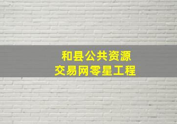 和县公共资源交易网零星工程