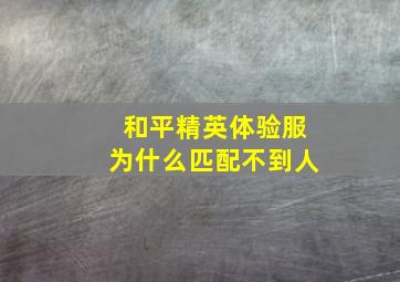 和平精英体验服为什么匹配不到人