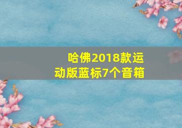 哈佛2018款运动版蓝标7个音箱