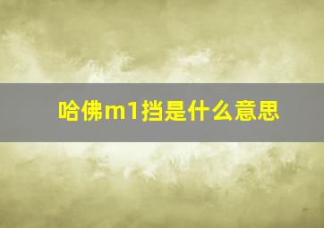 哈佛m1挡是什么意思