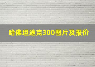 哈佛坦途克300图片及报价