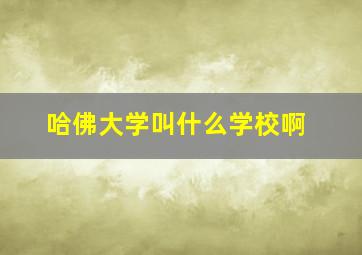 哈佛大学叫什么学校啊