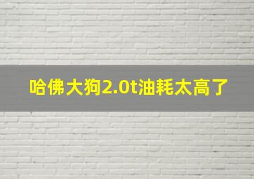 哈佛大狗2.0t油耗太高了